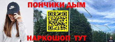 эйфоретик Кингисепп