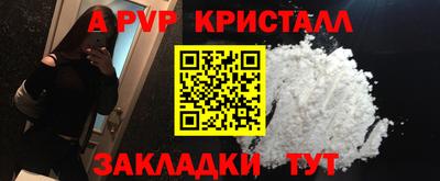 эйфоретик Кингисепп