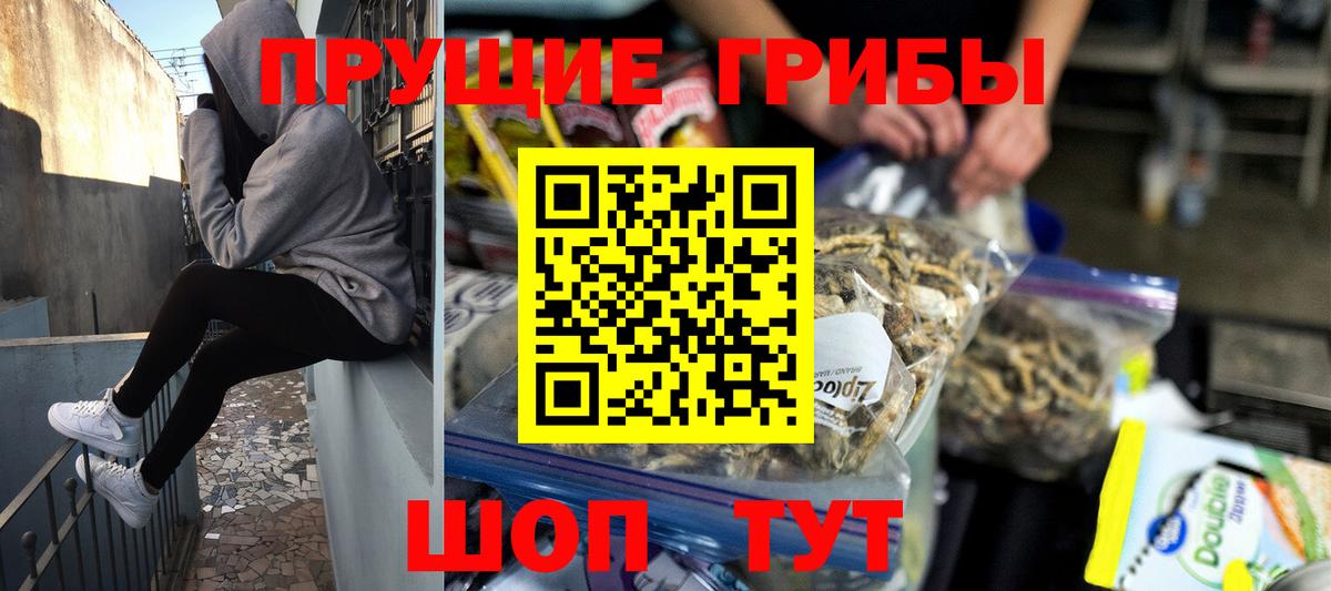 Галлюциногенные грибы Cubensis Краснознаменск