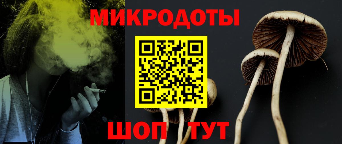 Галлюциногенные грибы Cubensis  Вход с VPN  Краснознаменск 