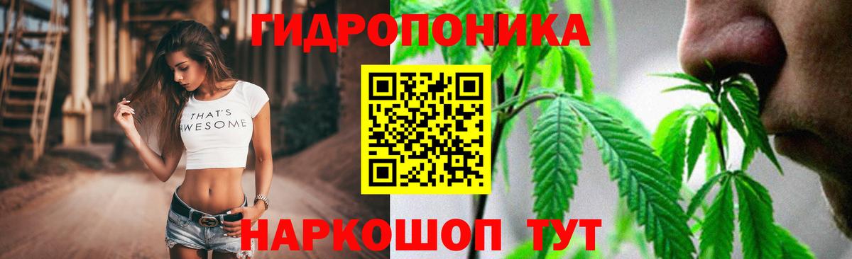 Конопля план Краснознаменск