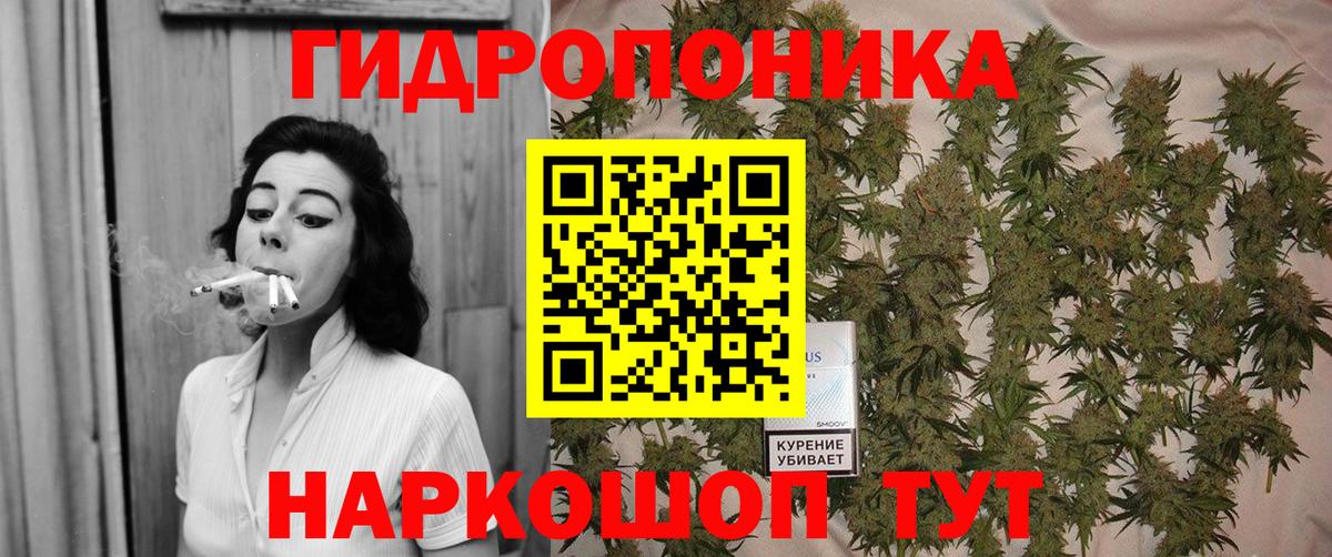 Краснознаменск  Бошки марихуана конопля  Каннабис VHQ  Вход с VPN  Марихуана тримм  Канабис семена 